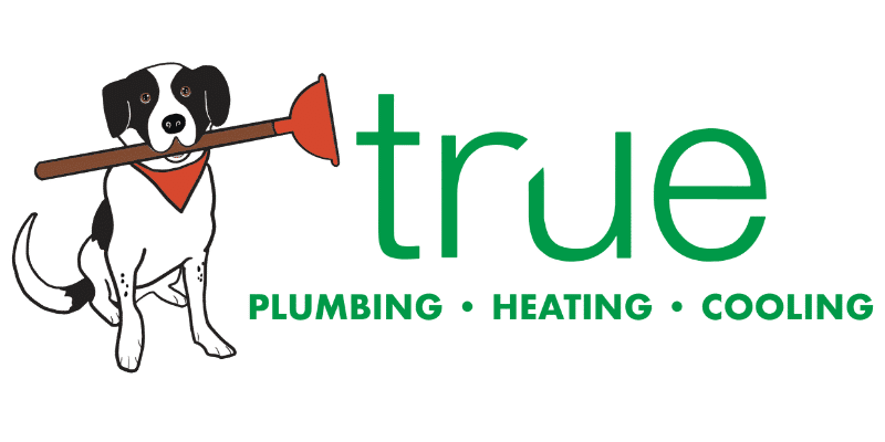 Cropped Trueplumbing Atlanta Plumbing Heating Cooling