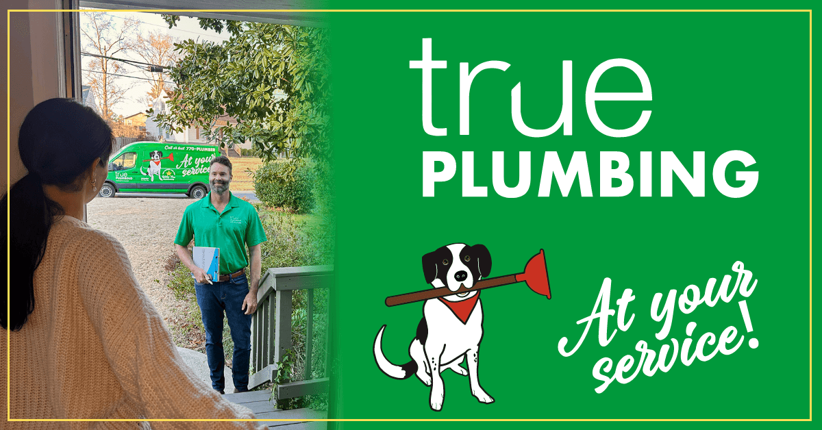 True Plumbing, Heating & Cooling Atlanta cover